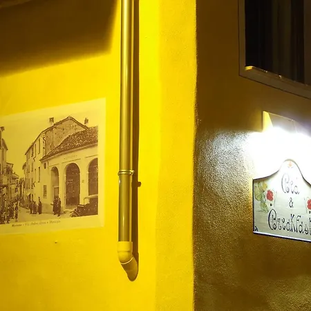 Il Campo Dei Papaveri